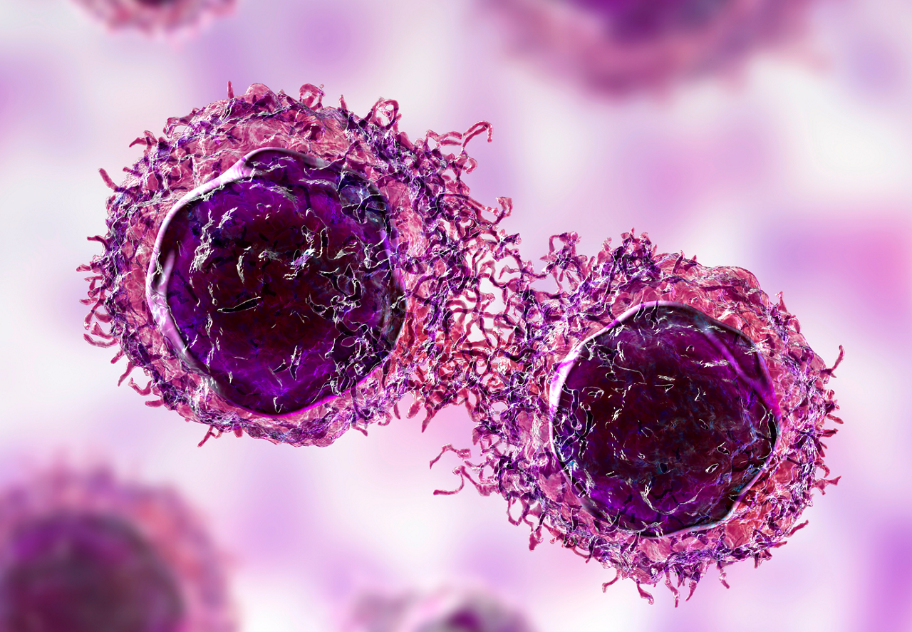 Explore therapeutics, including IVF medications and treatments, designed to improve fertility and outcomes.