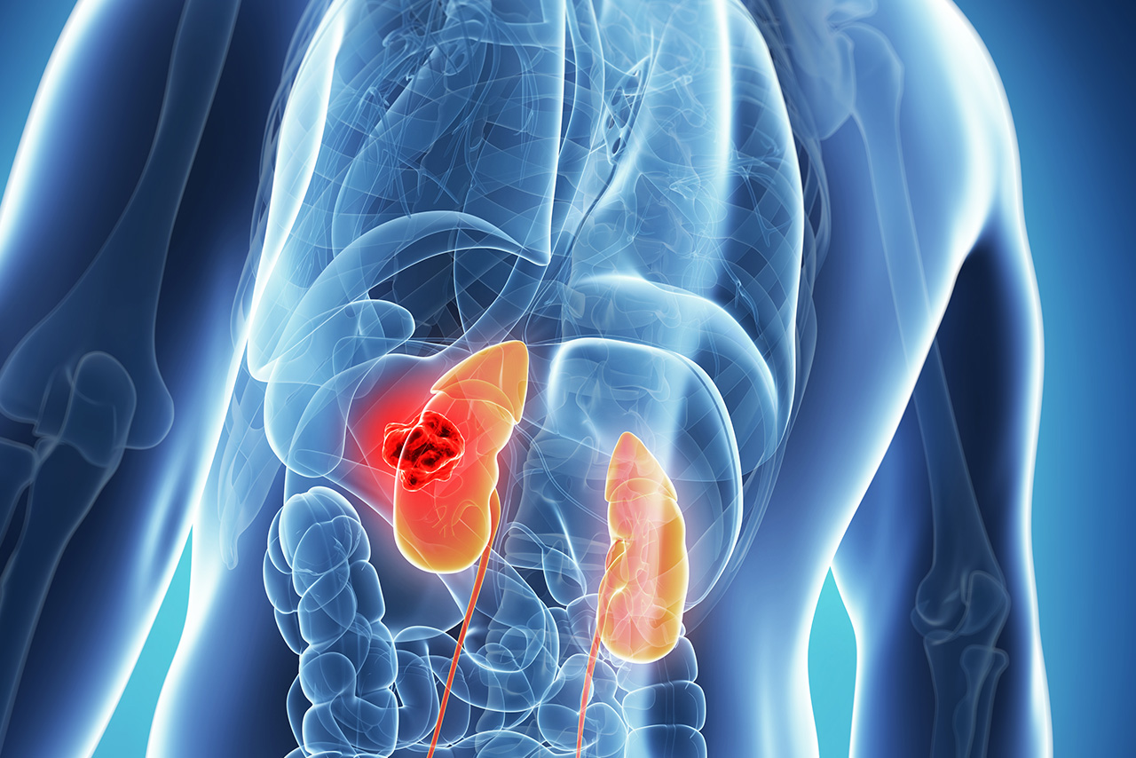 Explore therapeutics, including IVF medications and treatments, designed to improve fertility and outcomes.