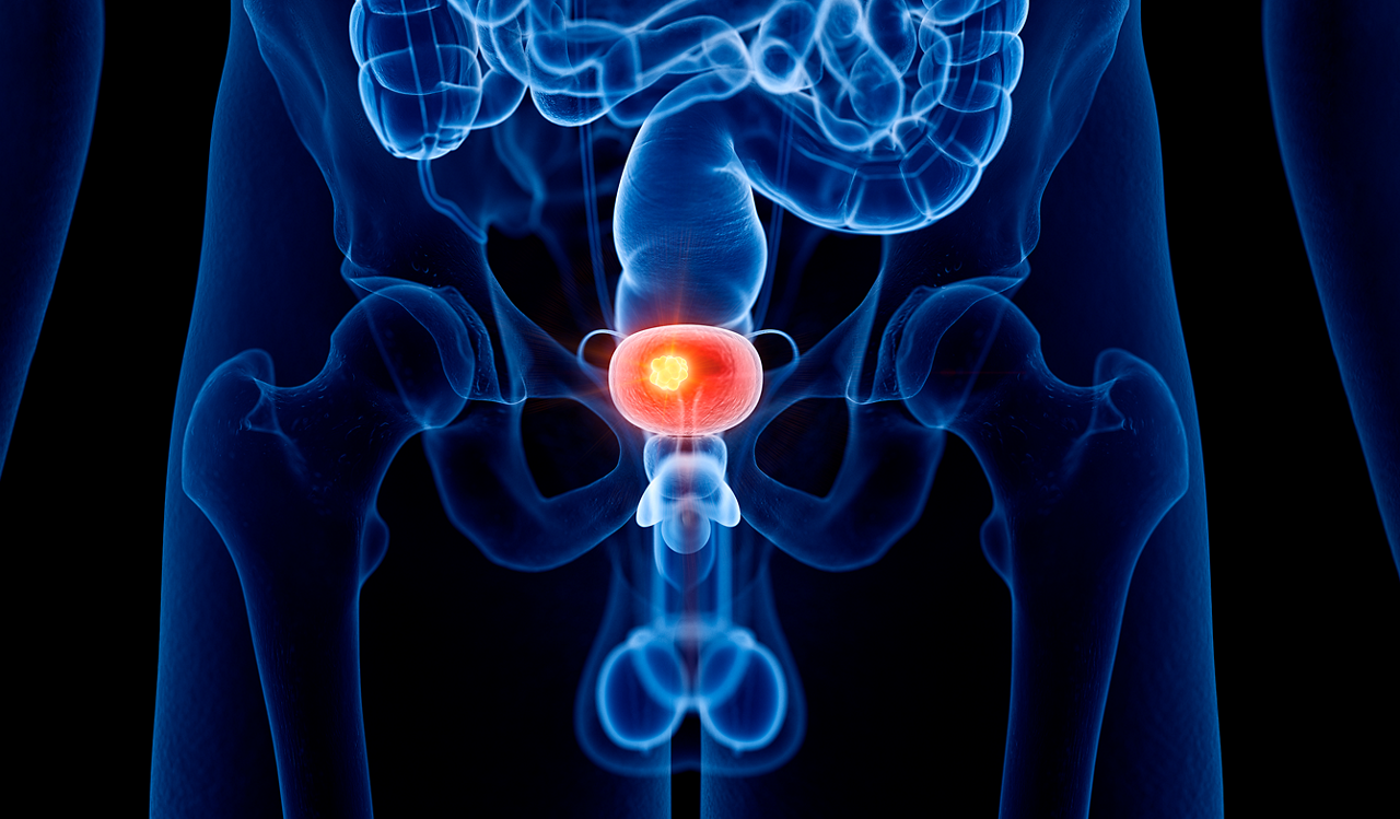 Explore therapeutics, including IVF medications and treatments, designed to improve fertility and outcomes.